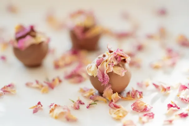 Kasino Paradise Win Android/iOS Sovellus